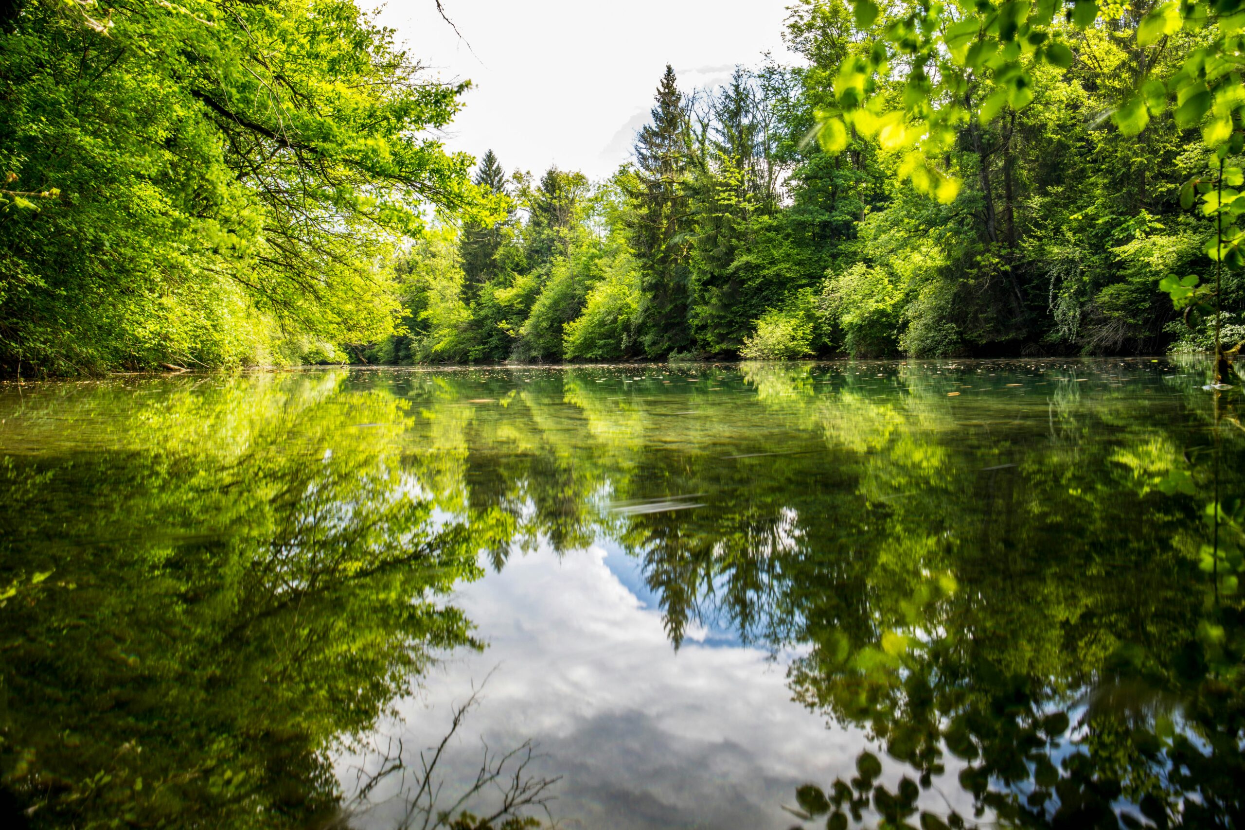 daniel vogel cgxlfv83pti unsplash