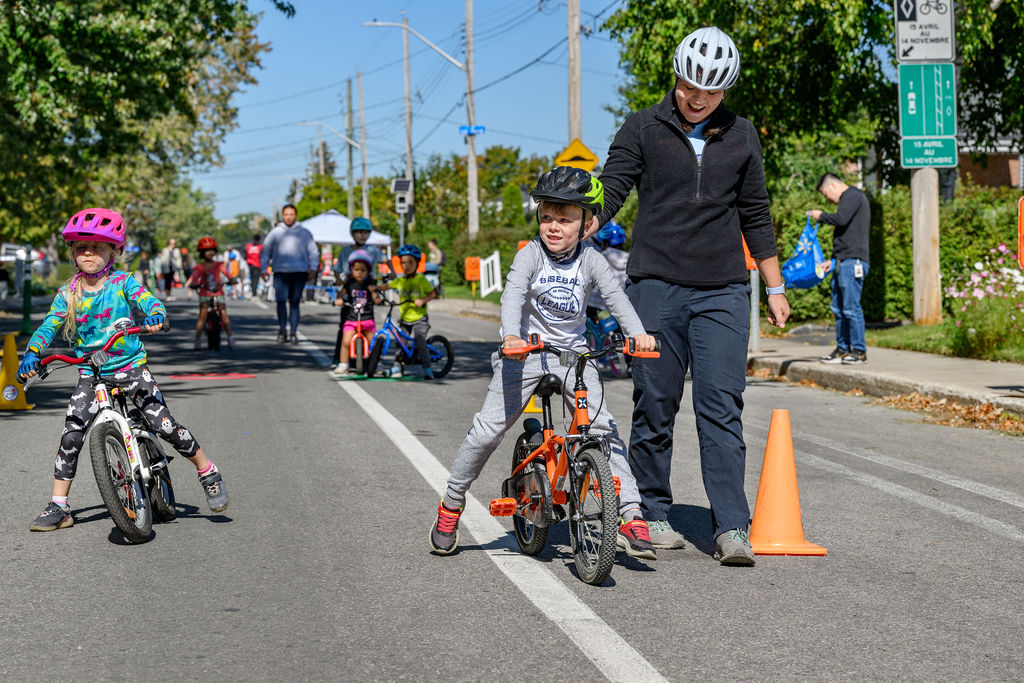vgp 1294 vincent girard