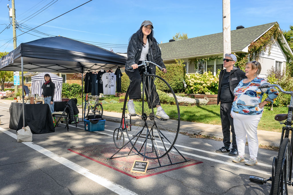 vgp 2392 vincent girard