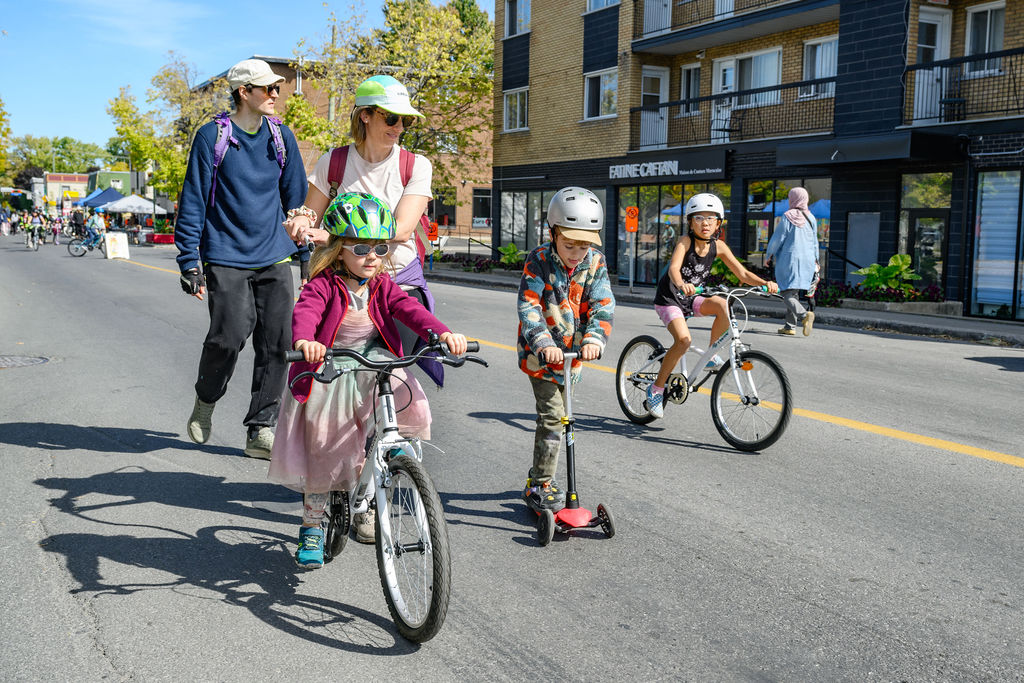 vgp 2520 vincent girard