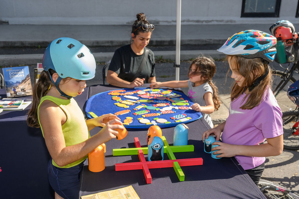 vgp 2896 vincent girard