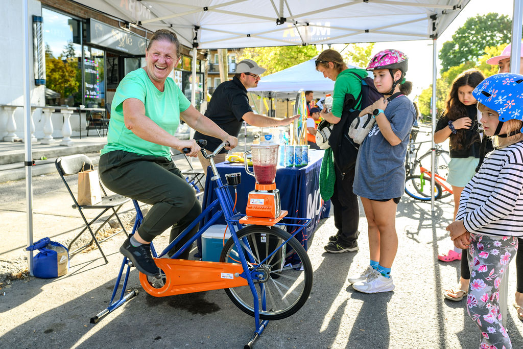 vgp 3491 vincent girard